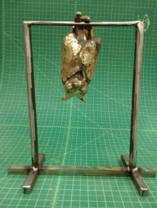 IMG_20241210_160514838